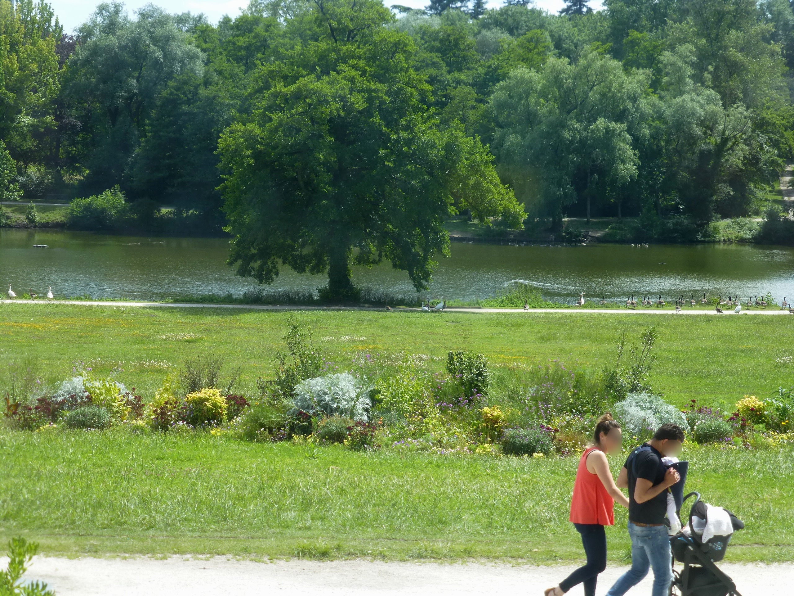 Le lac et les arbres du parc de Bourran à Mérignac